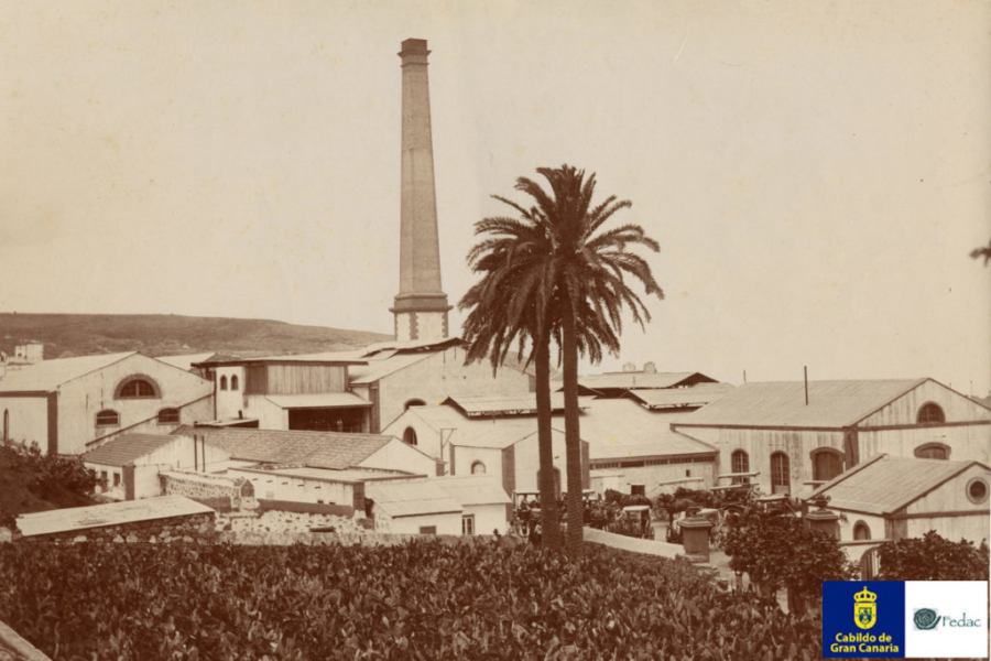 Fábrica de ron, Arucas, 1910